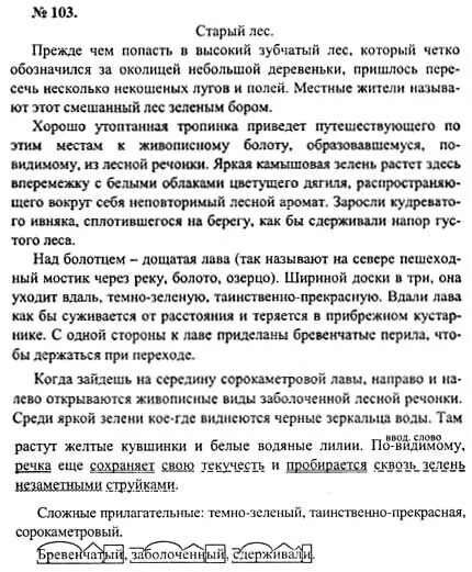 Диктант для 11ласса. Диктант 11 класс. Диктант 11 класс по русскому. Диктант для 11 классов. Общество 11 класс ответы на вопросы