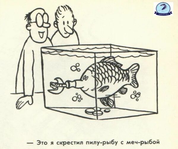 Анекдот про вовочку и учительницу. Анекдот про вовочку и учительницу. Анекдот про учителя биологии и рыбу пилу. Анекдот про учителя биологии и рыбу пилу. Анекдот про учителя биологии и рыбу пилу.
