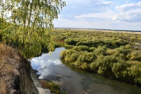 Зеленый борок курганская область