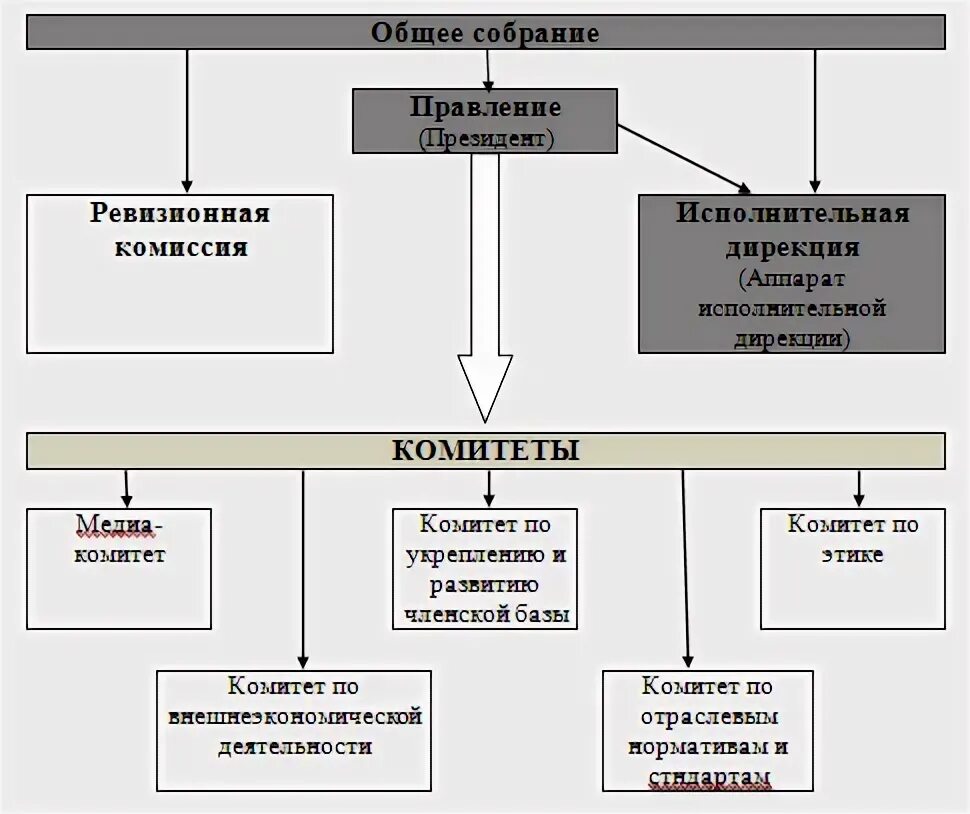 Органы местного самоуправления курсовая. Органы ассоциации.