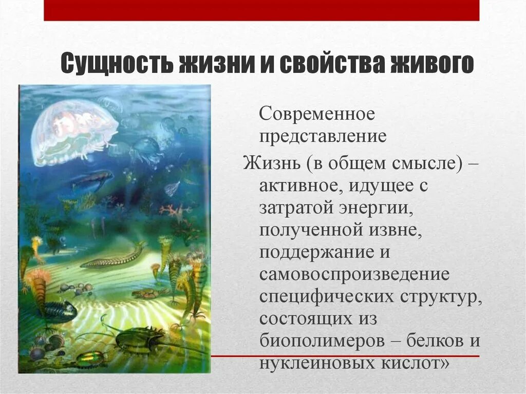 Происхождение и сущность жизни. Сущность жизни биология. Определение сущности жизни. Сущность жизни и свойства живого. Сущность жизни кратко.