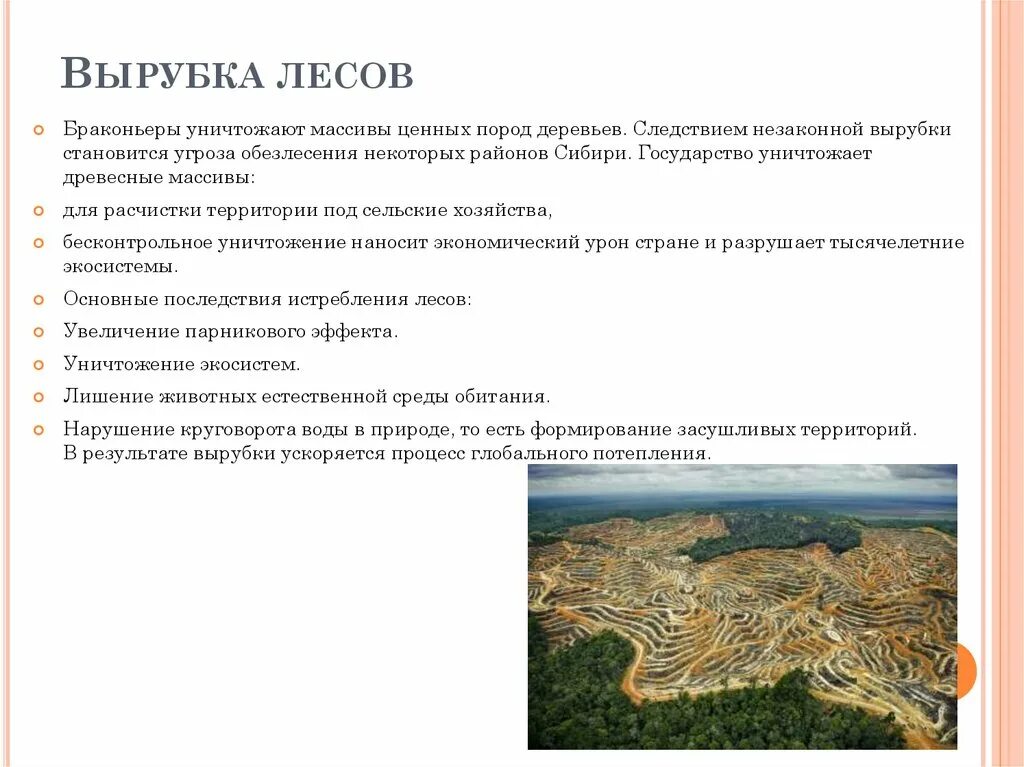 Минусы вырубки деревьев. Минусы вырубки деревьев