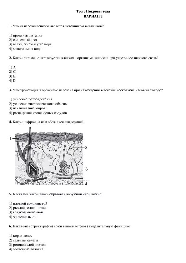Тест по биологии покровы тела 8 класс