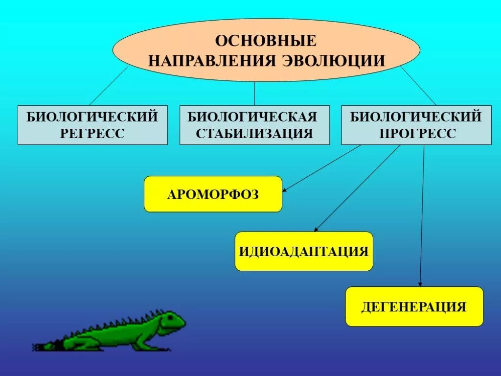 Направление эволюции биологический прогресс примеры. Направление эволюции биологический Прогресс биологический регресс. Главные направления эволюции биологический Прогресс. Главные направления эволюции ароморфоз идиоадаптация. Основные направления эволюции ароморфоз идиоадаптация дегенерация.