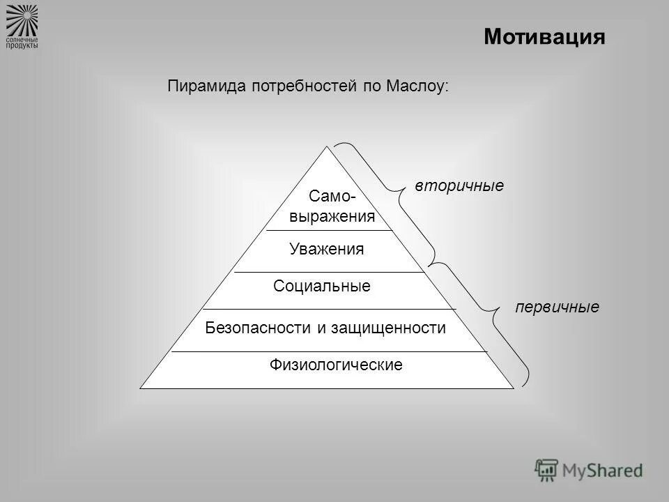 Мотивация и потребности мотивация работников. Иерархическая модель потребностей Маслоу. Мотивация по пирамиде Маслоу. Пирамида Маслоу мотивация персонала. Потребности по Маслоу пирамида 5 ступеней.