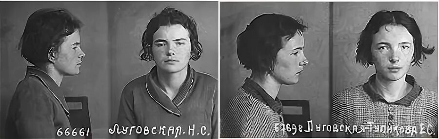 Дневник нины луговской. Фамилия луговская. Фамилия луговская. Фамилии. Дневник нины луговской.