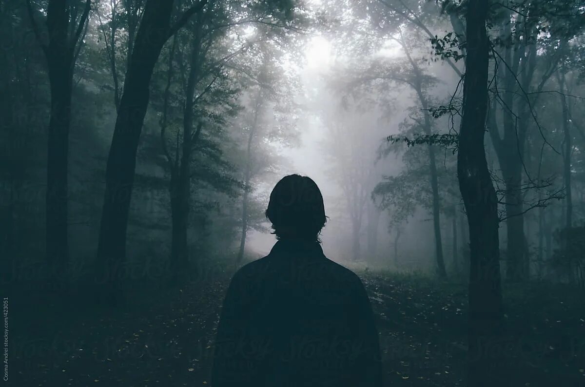 Свет из тьмы. Mystery fog. Темные обои. Ночь тьма. Мистический фон.