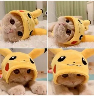 Котик пикачу