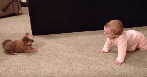 Catch baby