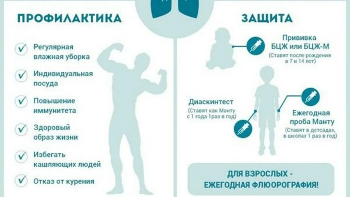 методы профилактики туберкулеза.