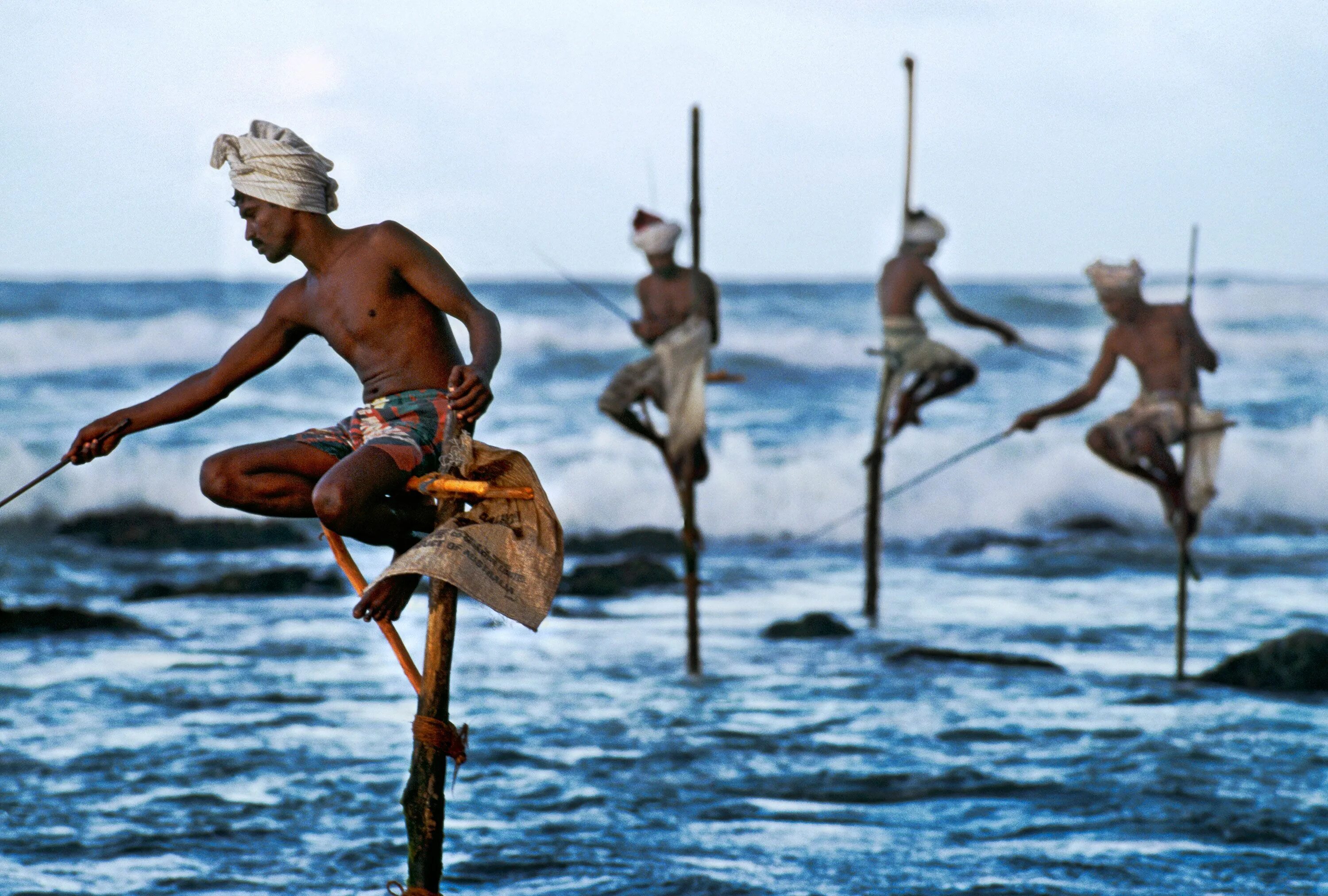 Рыба на шри ланке. Стив МАККАРРИ рыбаки. Стив Маккари Шри Ланки. Рыбаки на Шри Ланке на шестах. Велигама Шри Ланка рыбаки.