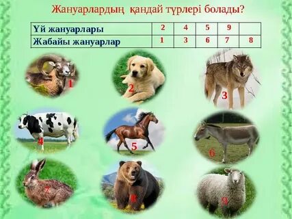 Семіз әйел порно