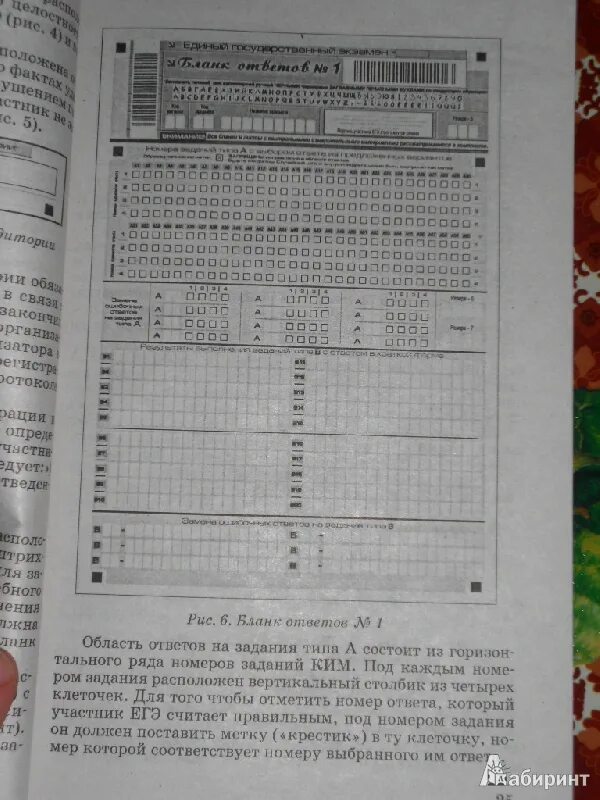 Огэ ответы общество котов ответы