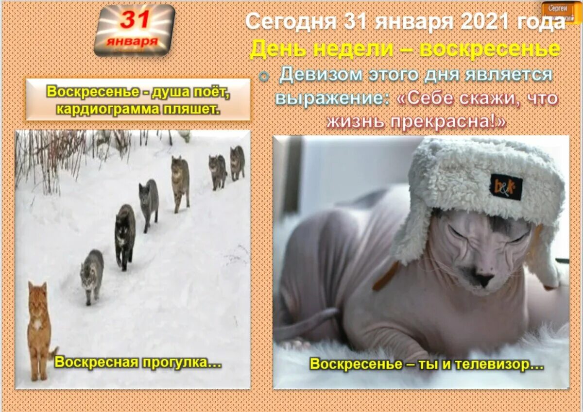 Что нельзя делать сегодня 31 декабря 2025. 2 января приметы. январские приметы фото. что нельзя делать 2 января. 30 января приметы.