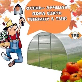 Теплица осенью готовим к новому сезону