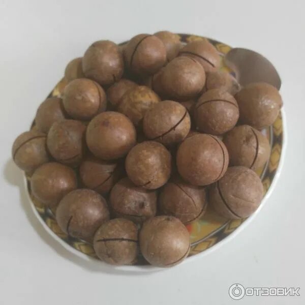 Орех микамидия. Бразильский орех макадамия. Макадамия ключ. Царь орех макадамия. Макадамия орех вымачивают или нет в сиропе.