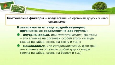Примеры биотических факторов воздействия живой