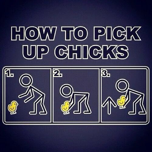 We had to pick up. To pick up. How to pick up chicks Мем. How to pick up chicks.
