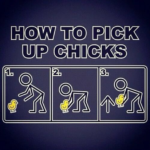 Talk to pick up. To pick up. футболка how to pick up chicks. how to pick up chicks мем. how to pick up chicks.