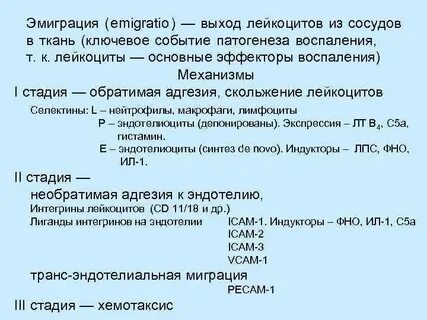 Эмиграция лейкоцитов