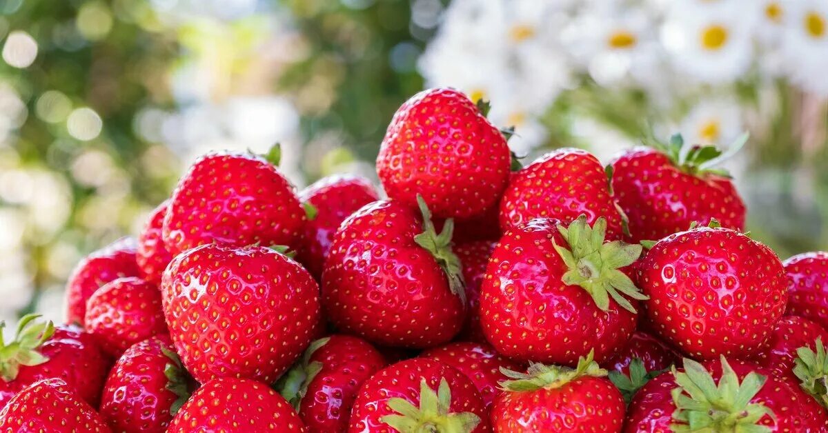 Сочная земляника. Сочная клубника. сочная клубника фото. картинки на рабочий стол лето ягоды. ягоды в июне.