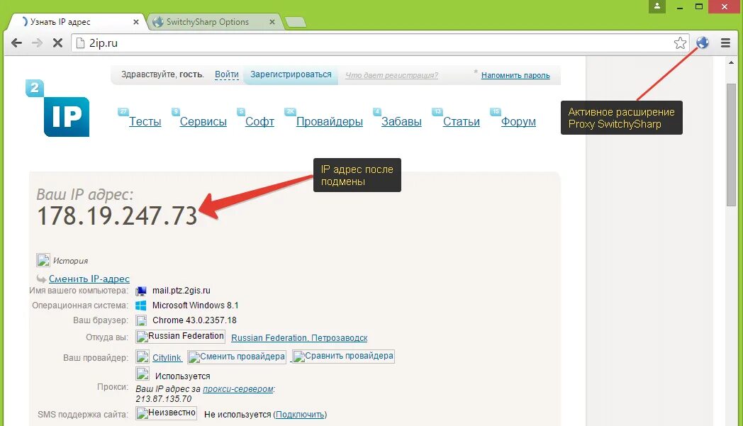 URL адрес как узнать. Как узнать адрес сайта. Где находится адрес сайта. 2ip.