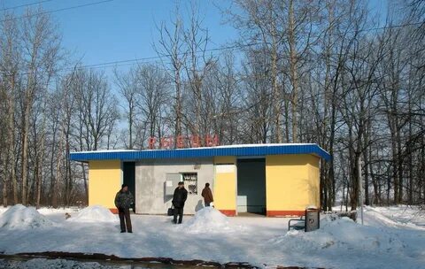Рыбцы погода