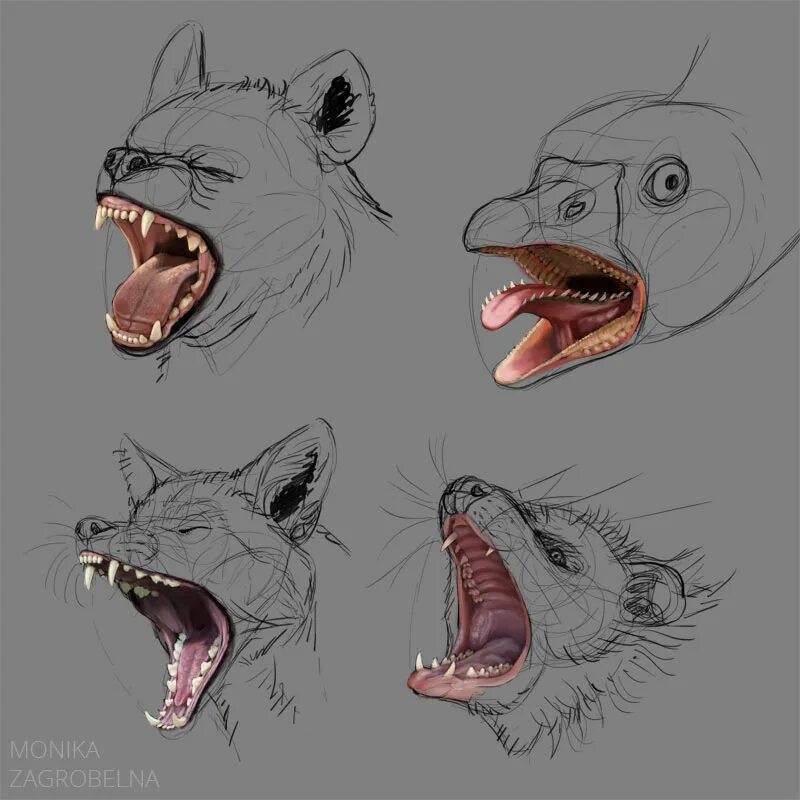 наклейка на авто зубы акулы. нарисовать открытую пасть. нарисовать открытую пасть. зубы сбоку референс. острые зубы скетч.