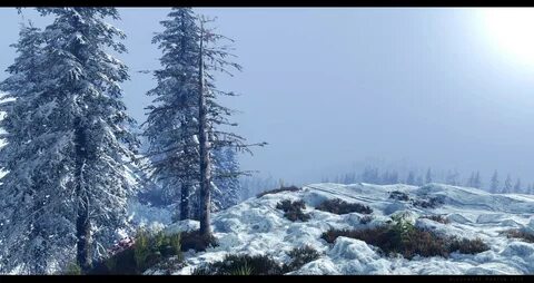 Winter for some environment