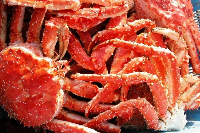 Морепродукты трубач дальневосточный. Дальневосточный морской заповедник гребешки. Охотское море морепродукты. Камчатский краб охотское море. Деликатесы охотского моря.