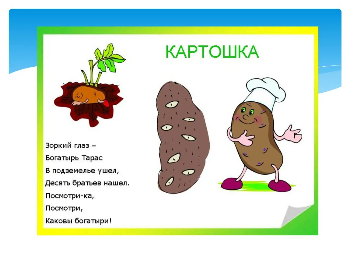 Подбери к слову картофель. Детское стихотворение про картошку. Детские стихи про овощи. Загадки про овощи. Загадки про овощи с рисунками.