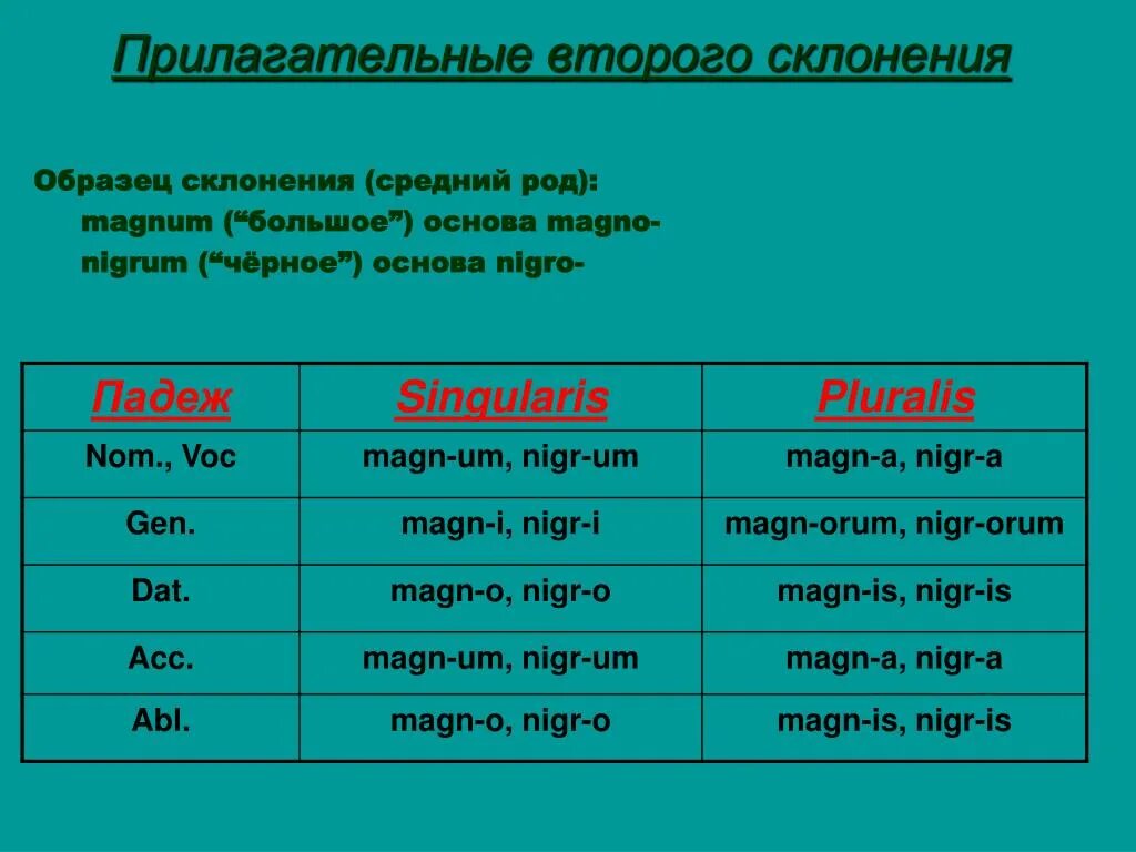 Прилагательные первой группы. Склонение прилагательных в латинском языке 2 склонения. Прилагательные 2 склонения латынь. Склонение прилагательных латынь 2 склонение. Таблица склонения прилагательных латынь.