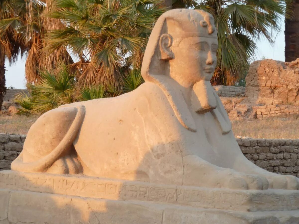 статуи древнего египта. скульптура сфинкса в египте. рамзес 2 луксор. фото статуй египта. луксор нил.