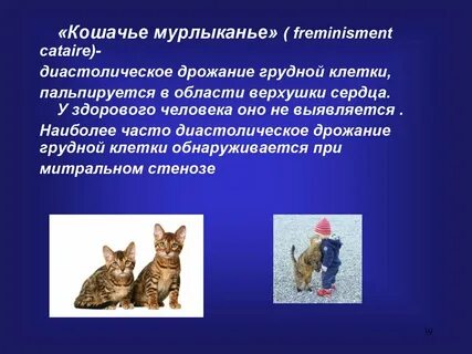 Кошачье мурлыканье