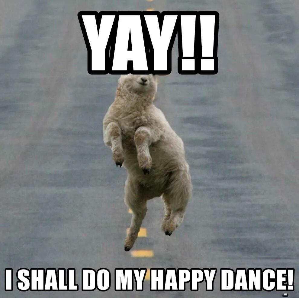 Dance meme. Yay мем. мем hurray. happy dance мем. yay ура.