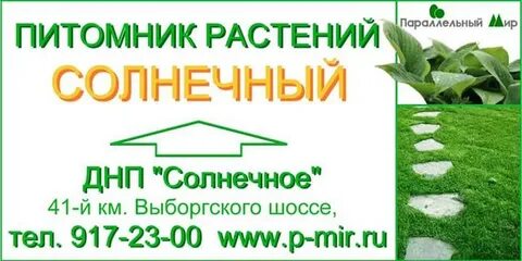 Солнечный каталог