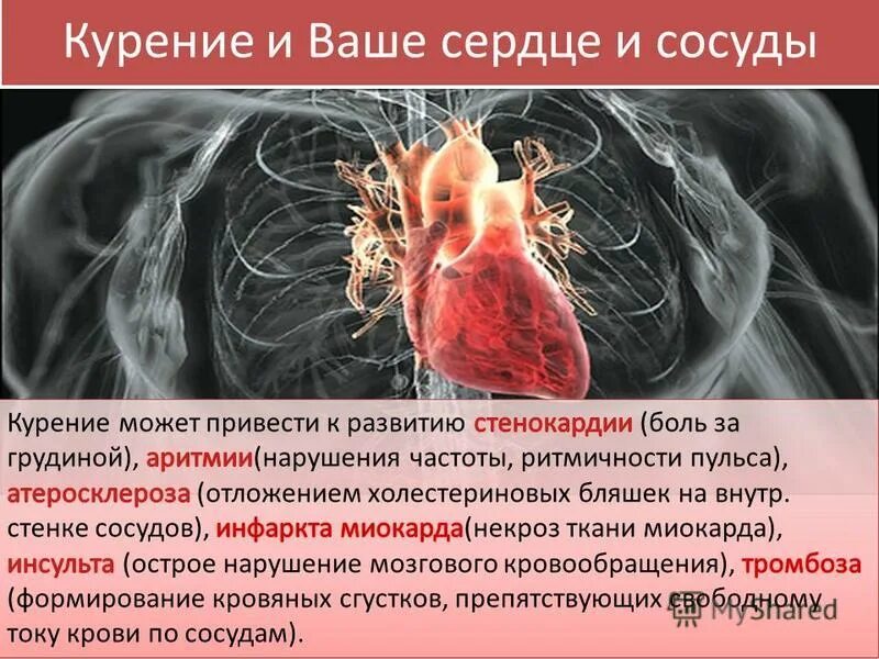 Негативное влияние на сердечно сосудистую систему