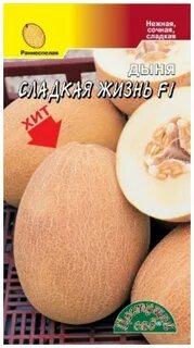 Дыня сибирячка