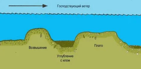 Рельеф водоема