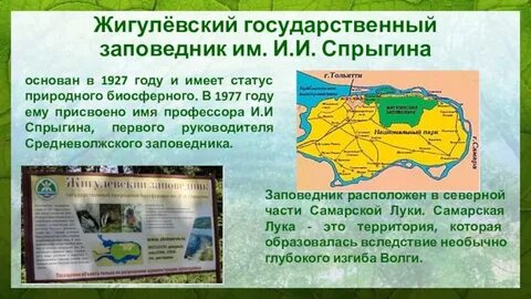 В луганском государственном заповеднике