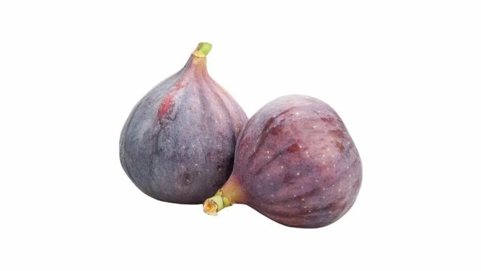 Fig update. Fig update