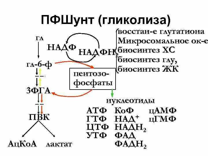 НАДФ И надфн2. Надфн2 формула биохимия. НАДФН биохимия. ФГА гликолиз.