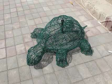 Необычные простейшие