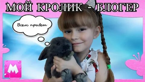 Блоггер сказка
