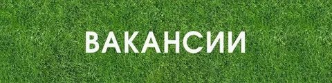 Вакансия н