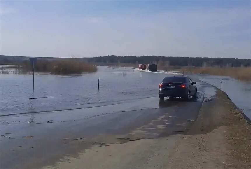 Уровень воды в реке тобол звериноголовское. Тобол в Звериноголовском. Наводнение в Кургане 2016. Паводок Курган. Звериноголовский район мост и вода.