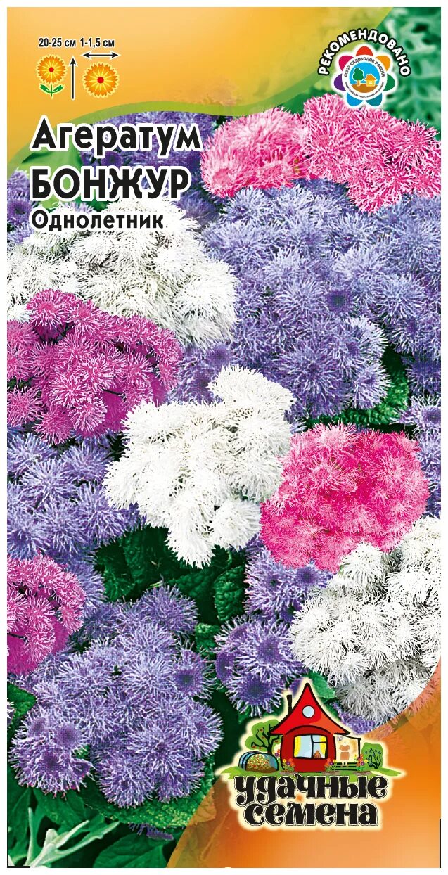 гавриш агератум голубая норка. агератум семена фото. агератум семена фото. агератум голубая норка. гавриш агератум бонжур, смесь.