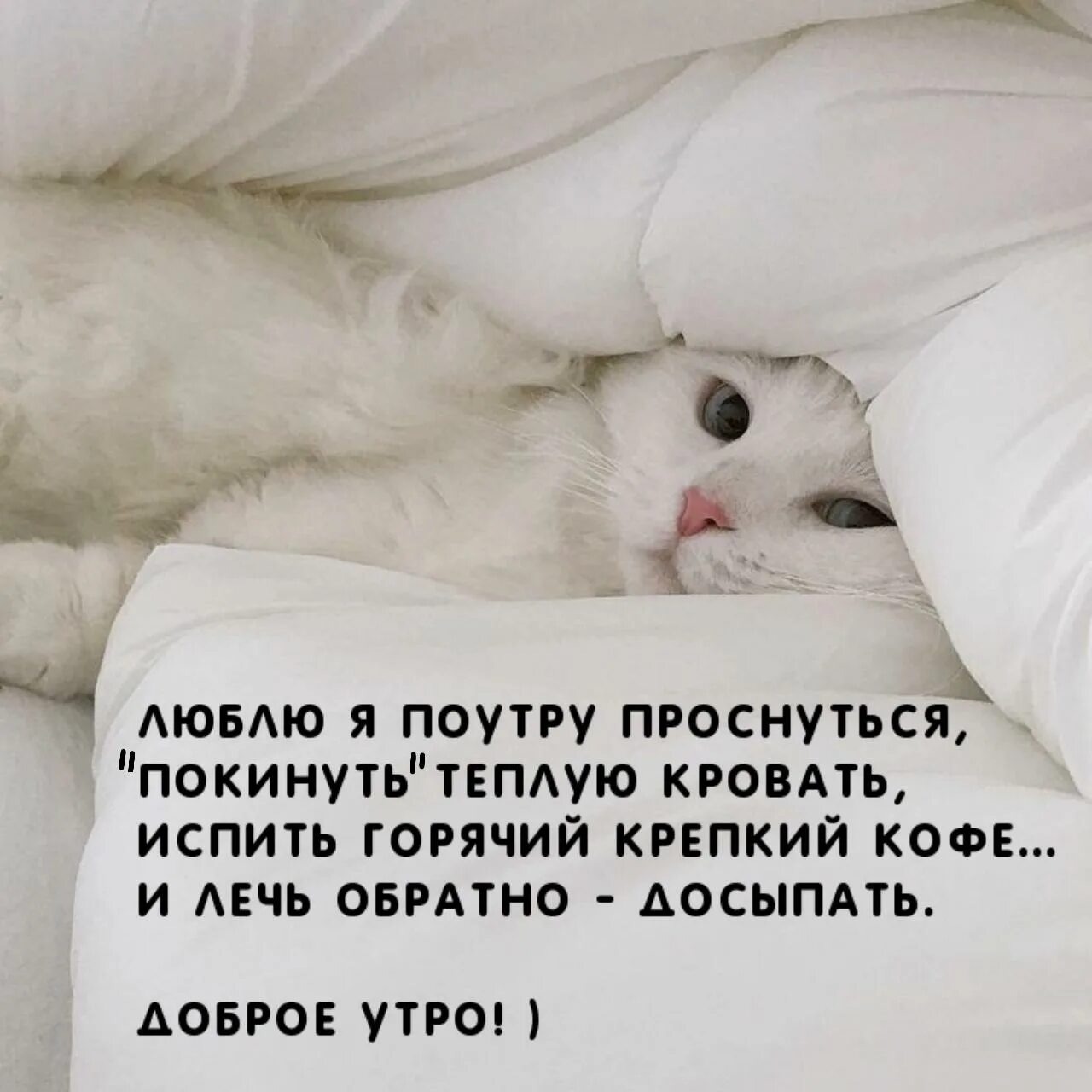 Просыпайся картинки. Люблю я поутру проснуться покинуть теплую кровать. Проснулись доброе утро. Доброе утро я проснулась. Проснулись с добрым утром.