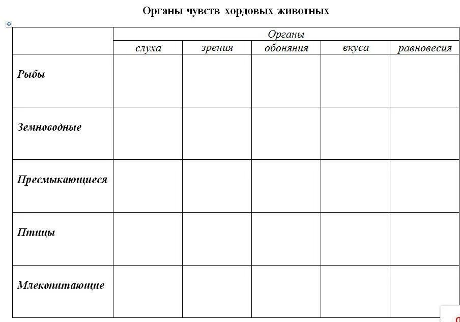 Класс органы чувств таблица. Таблица органы чувств 7 класс биология. эволюция органов чувств таблица 7 класс. таблица эволюция органов чувств биология 7 класс. эволюция органов чувств у животных таблица 7 класс.