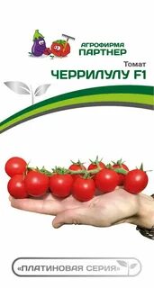 2 ной пак